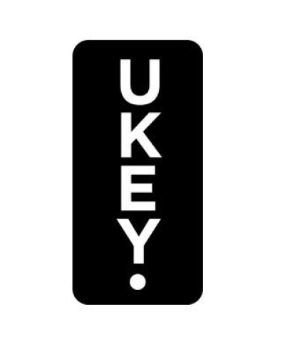 SH-03 (UK-01 UKEY) (упак 10 шт). Идентификатор. BAS-IP в Кургане