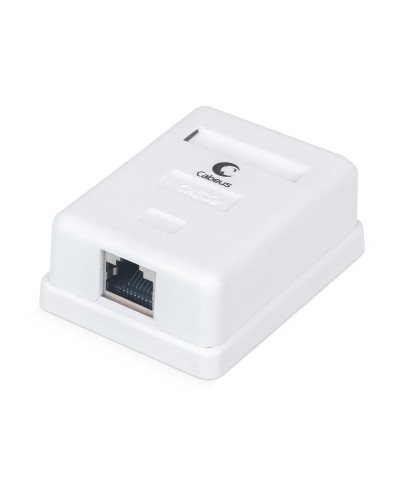 WS-8P8C-Cat.5e-SH-1 (7485c): Розетка RJ-45 в Кургане