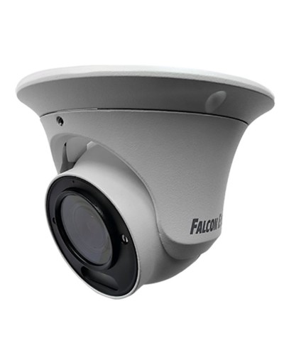 FE-IPC-DV2-40pa. Видеокамера IP купольная. Falcon EYE в Кургане