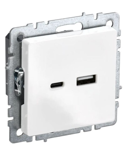 Розетка USB A+C 18Вт РЮ11-1-БрБ белый BRITE (BR-U22-018-K01). Розетка USB. IEK в Кургане