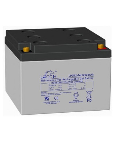 LEOCH LPG 12-24. Аккумулятор герметичный свинцово-кислотный. LEOCH в Кургане