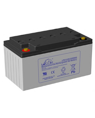 LEOCH LPG 12-65. Аккумулятор герметичный свинцово-кислотный. LEOCH в Кургане