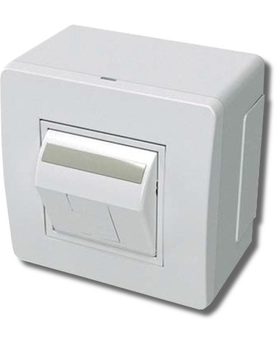 Коробка в сборе с 1 розеткой RJ45, кат.5е, белая (10665): Коробка в сборе в Кургане